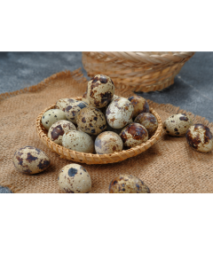 RawChoice Frozen Quail Eggs-18 pk