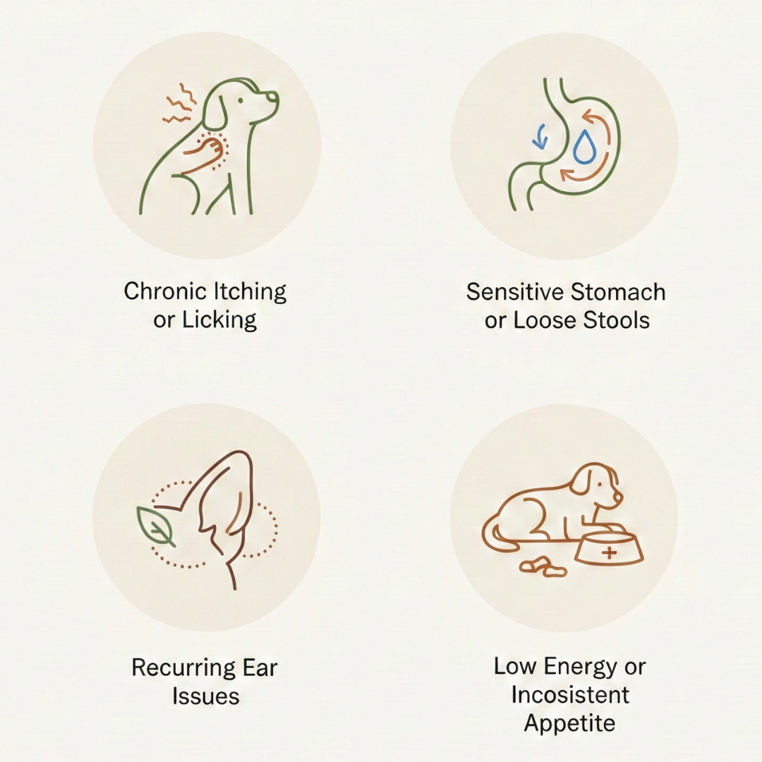Common symptoms improved by raw feeding